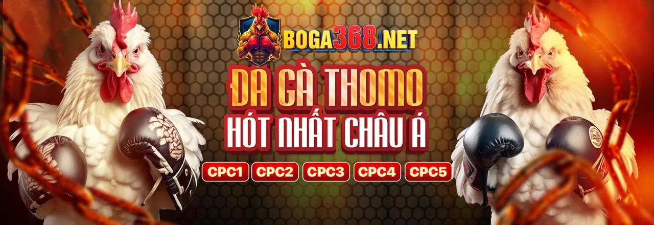 Hình ảnh đá gà trực tuyến tại 123b nổ hũ