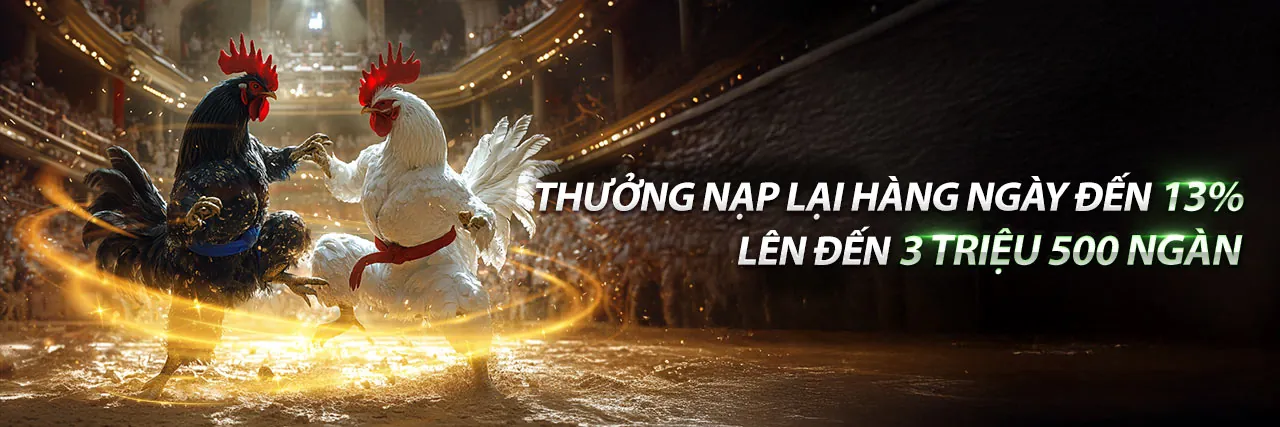 Đá gà trực tuyến kịch tính tại 123b nổ hũ
